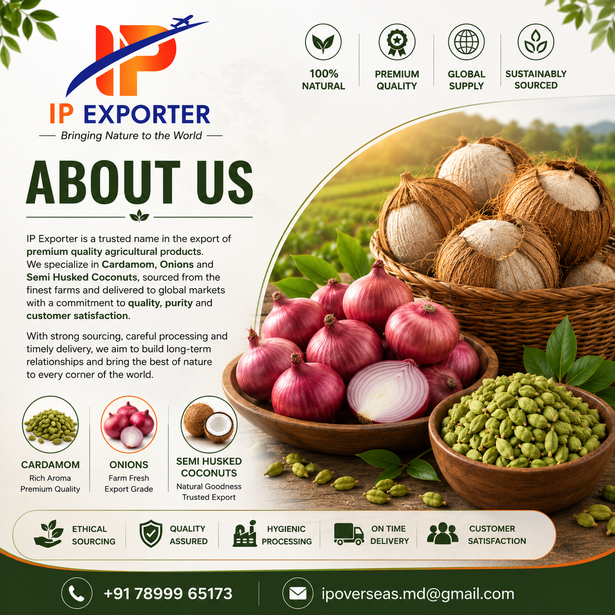 About IP Overseas